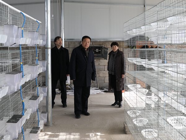 1575967742830965.jpg 5K7A4495_副本.jpg