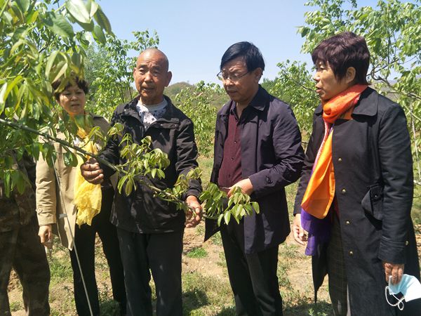 1587467435707603.jpg 4.jpg