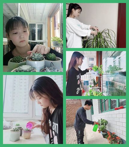 1615780124879537.jpg NeoImage_副本.jpg