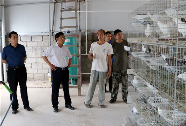 1592483539774100.jpg 4_副本.jpg