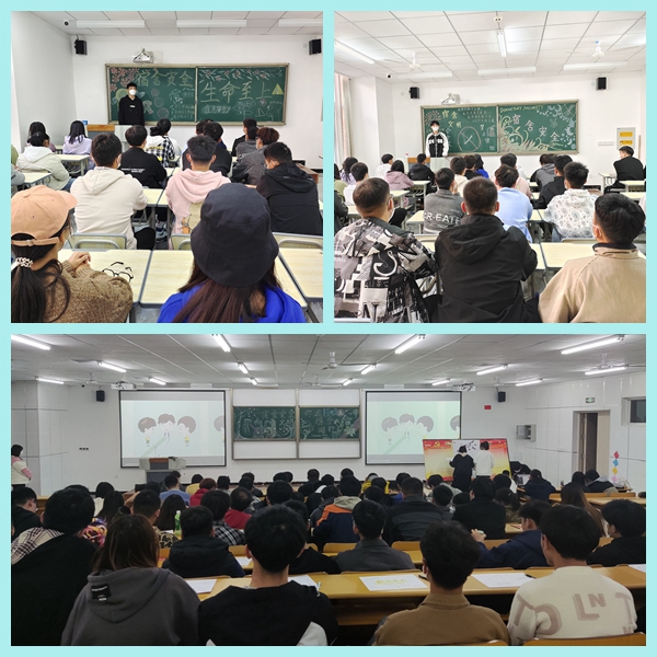 1637216291446953.jpg 1.jpg