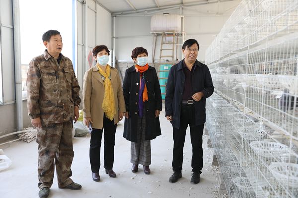 1587467417470127.jpg 5.jpg