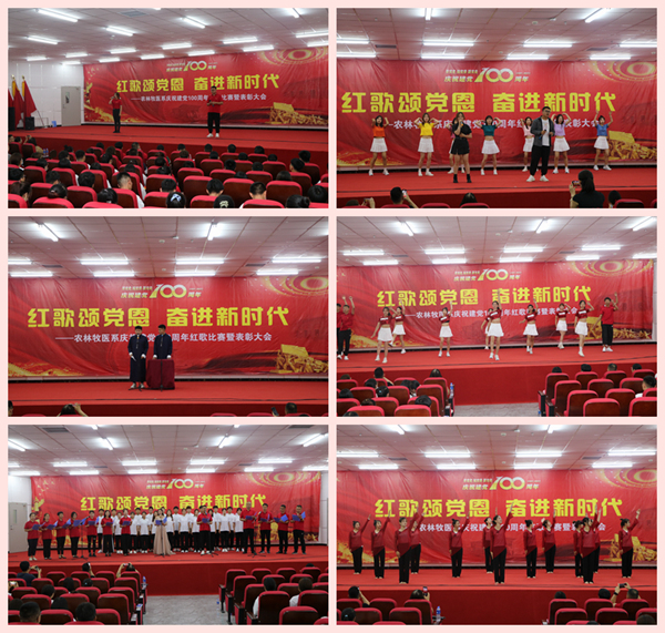 1624097243590013.jpg 111.jpg