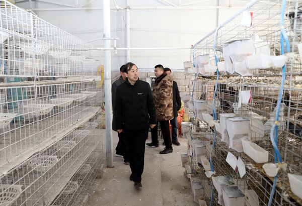 1607085649471487.jpg 微信图片_20201204202319_副本.jpg