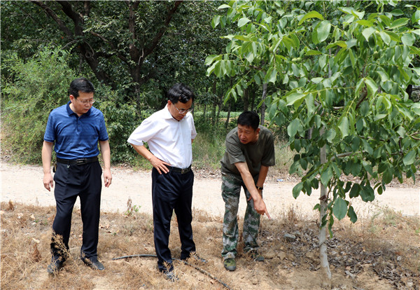 1592483507277436.jpg 3_副本.jpg